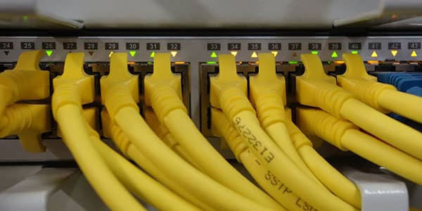 Network cables plugged into router at Llanfyllin business
